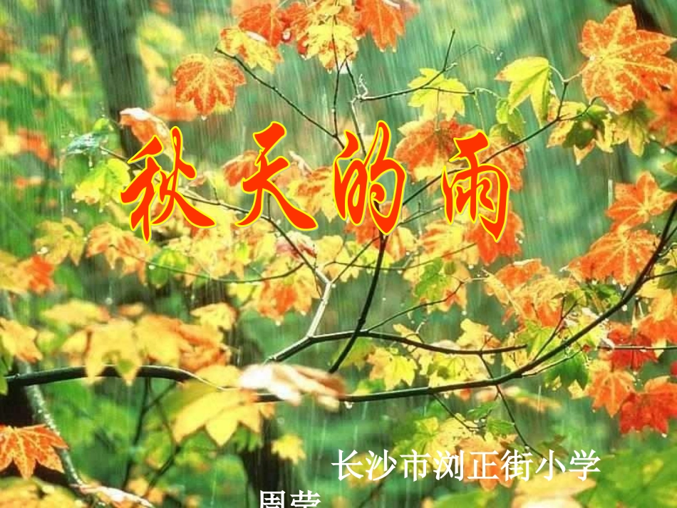 秋天的雨课件 (2)_第1页