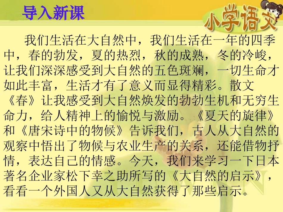 四年级下册语文《大自然的启示》教学课件（广东陈天祥）_第2页