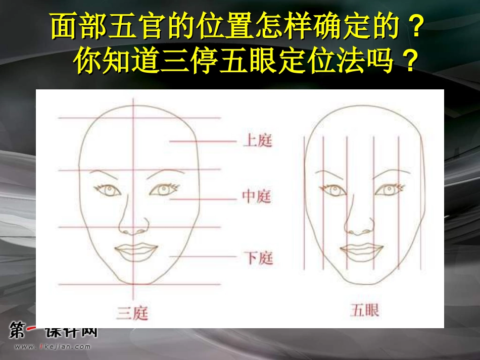（人美版）五年级美术上册课件画人像1 (2)_第3页