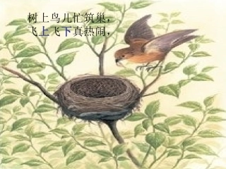 6、好忙的妈妈