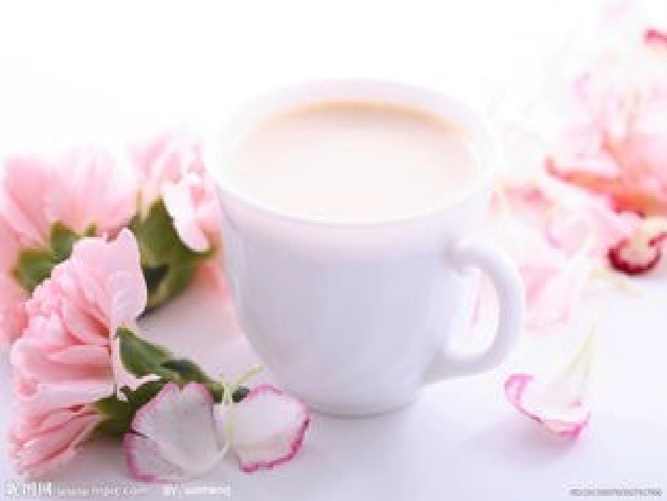 食物幼儿课件_第3页