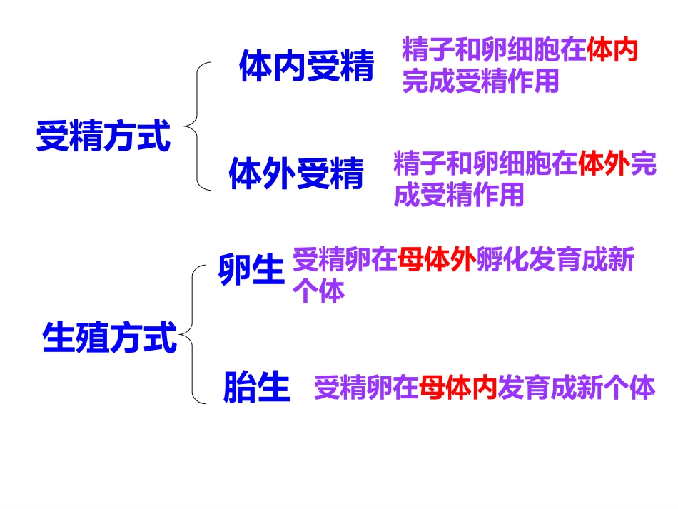 _动物的生殖与发育666666_第3页