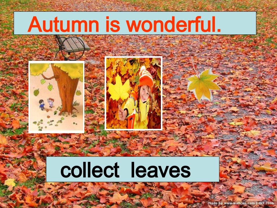 清华英语课件_第3页