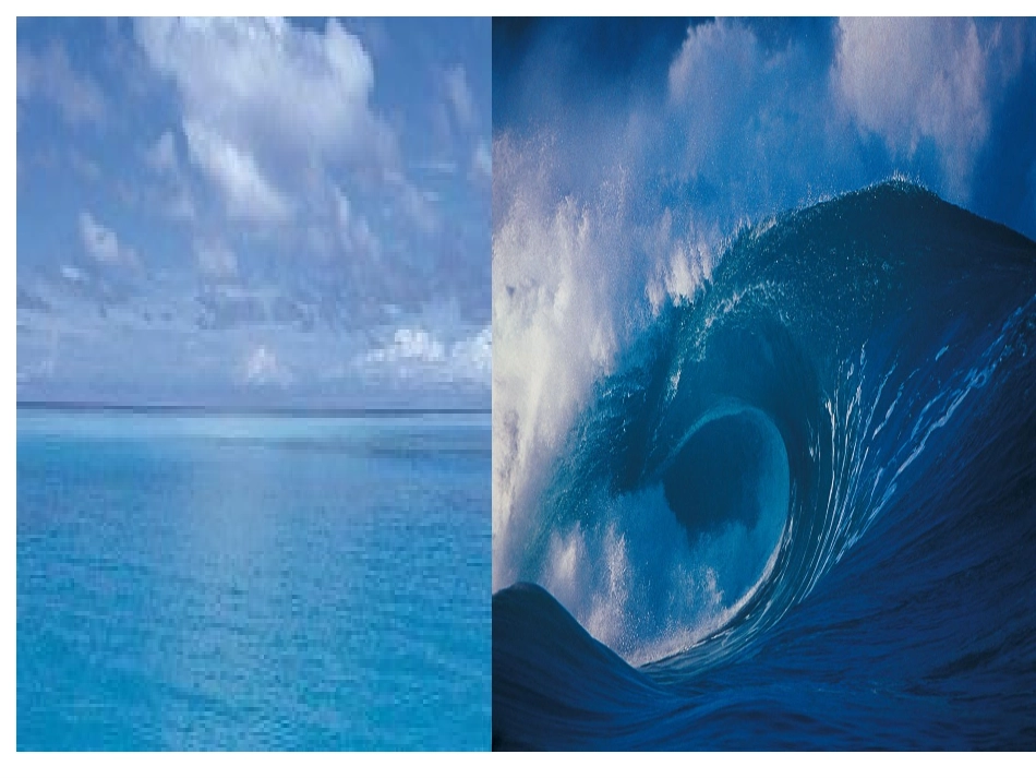 （我）海底世界_第1页