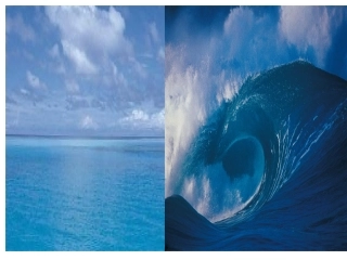 （我）海底世界