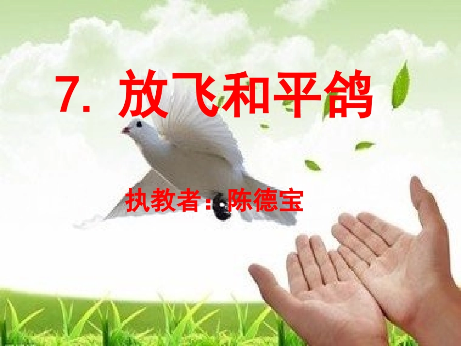 放飞和平鸽课件_第1页