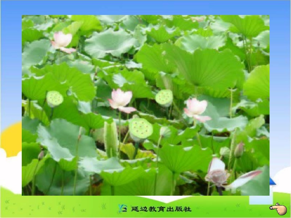 《池上》课件_第1页