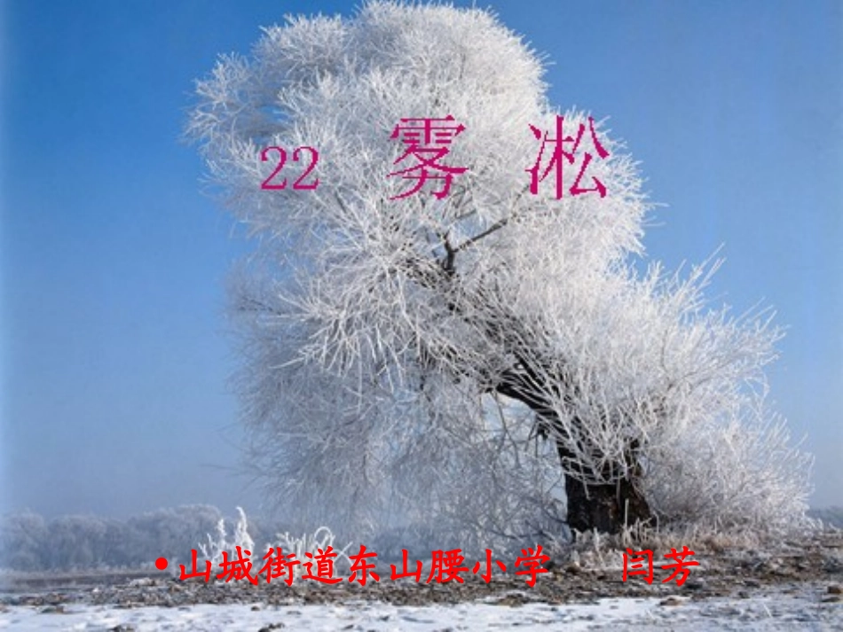 (苏教版)四年级语文上册课件_雾凇_1_第2页