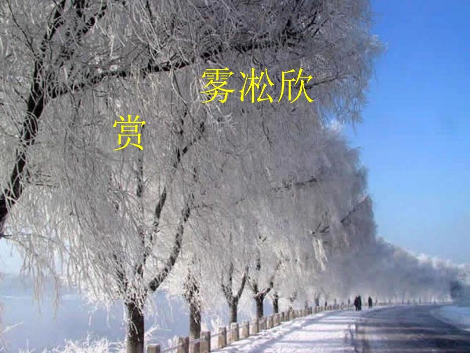 (苏教版)四年级语文上册课件_雾凇_1_第3页