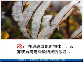 (苏教版)四年级语文上册课件_雾凇_1