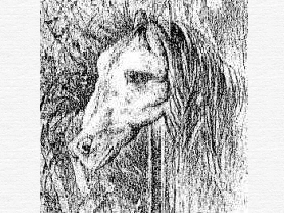 换个角度看问题_第2页