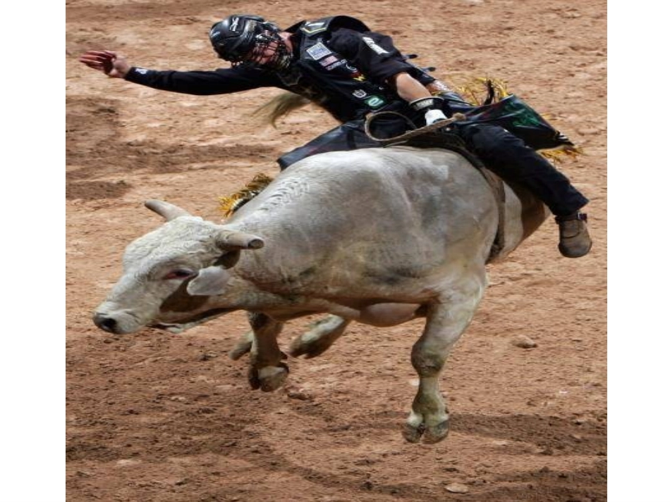 《骑牛比赛》_第1页