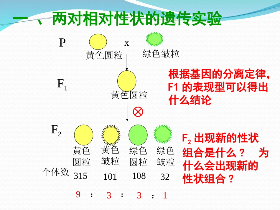 孟德尔的豌豆杂交实验（二）_第3页