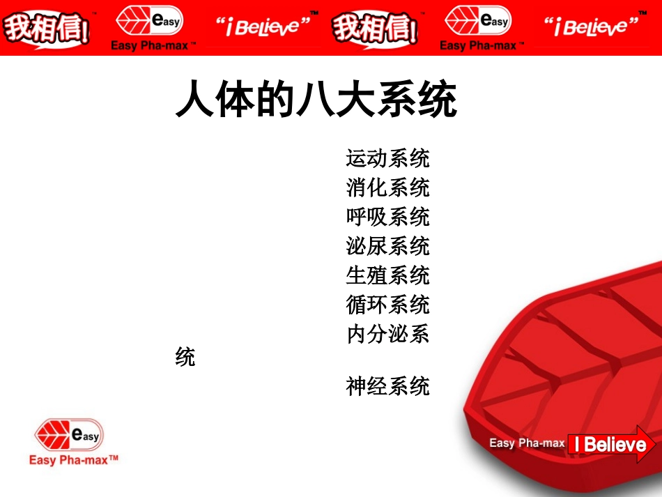 人体八大系统_第3页