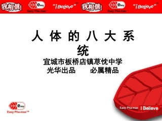 人体八大系统