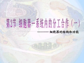 细胞器系统内的分工合作（胡颂歌）