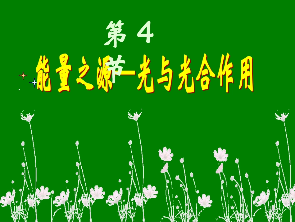 生物：54《能量之源——光与光合作用》课件(新人教版必修1)_第2页