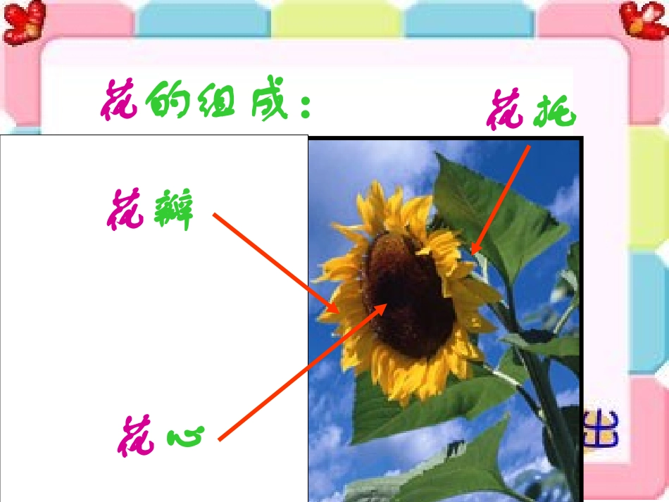 8想象的鲜花_第3页