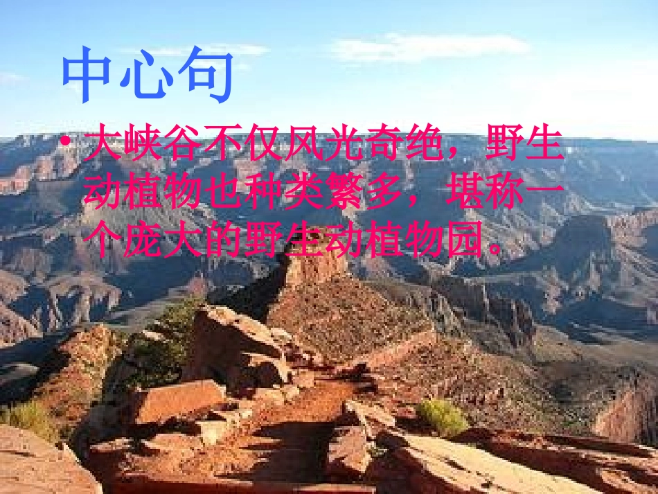 长春版小学六年级上册《科罗拉多大峡谷》[1]课件 (2)_第2页