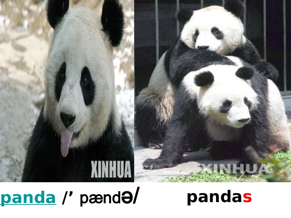 人教版七年级英语下册Unit_5_Why_do_you_like_pandas_课件PPT2013_第3页