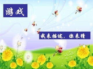 跑进家来的松鼠2