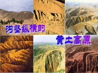 612沟壑纵横的黄土高原(