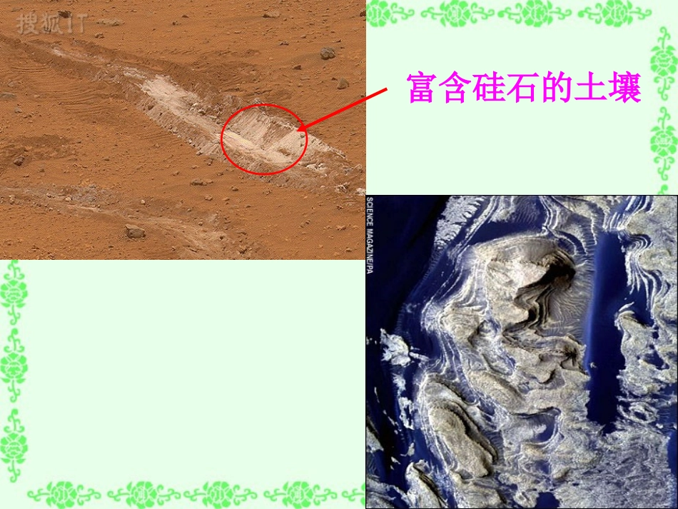 高中生物必修1细胞中的无机物PPT_第3页