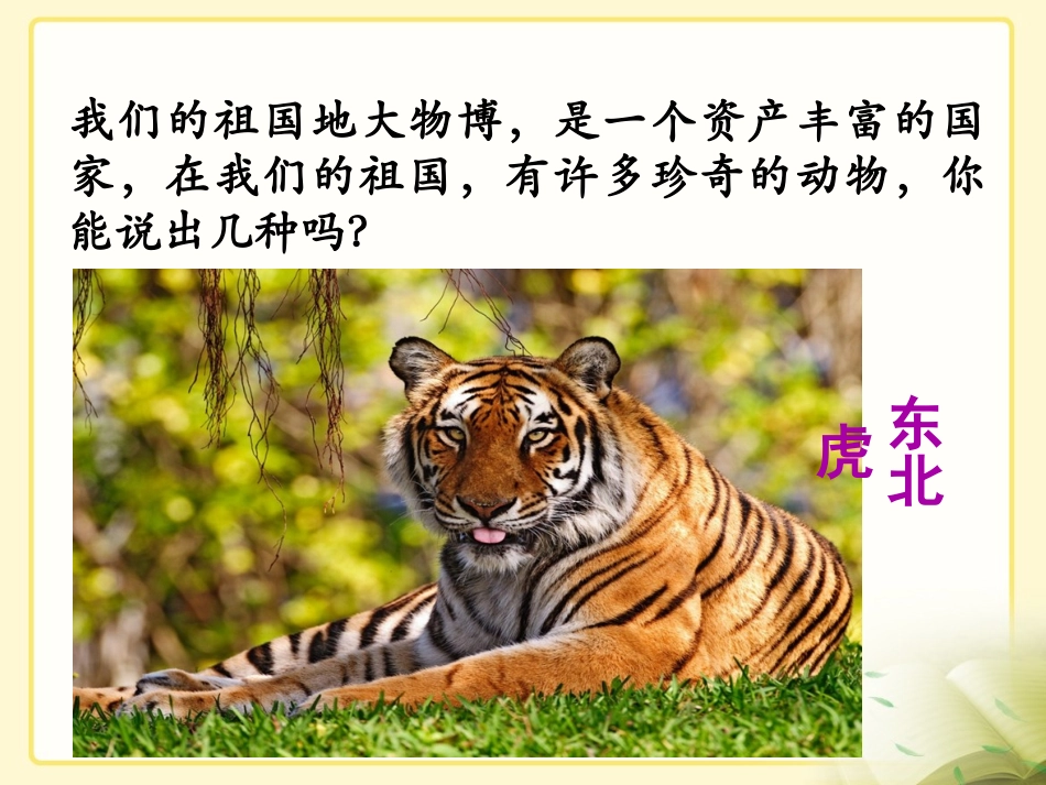 《加法》教学课件1_第3页