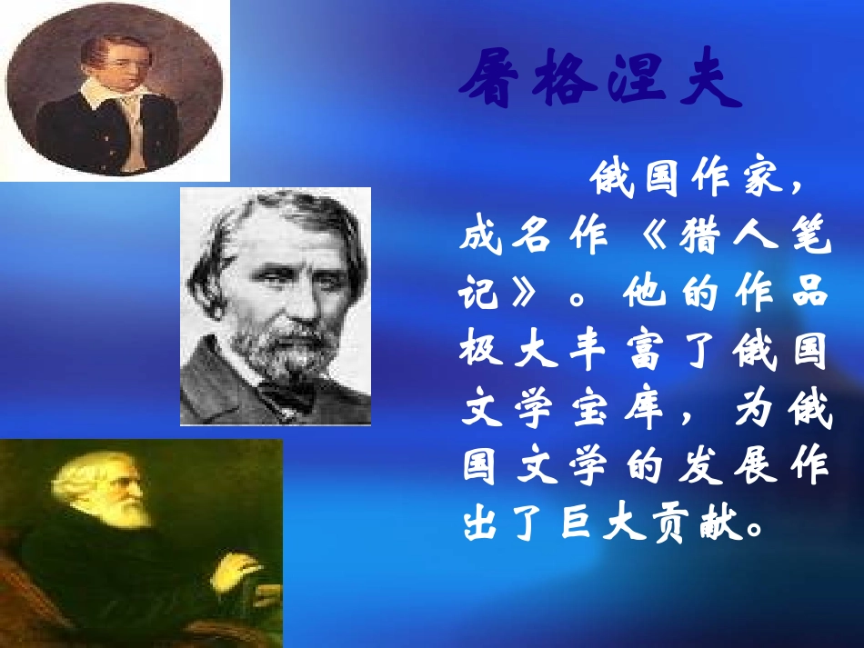 树林和草原712(1)_第2页