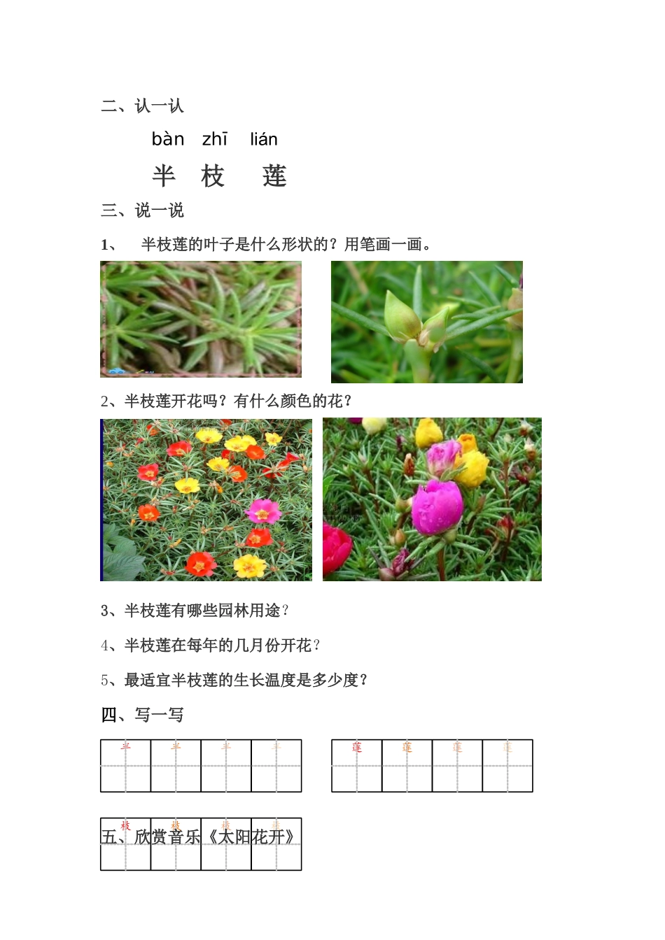 第一节半枝莲_第2页