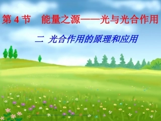 光合作用复习1