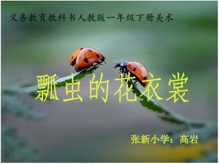 《瓢虫的花衣裳》课件