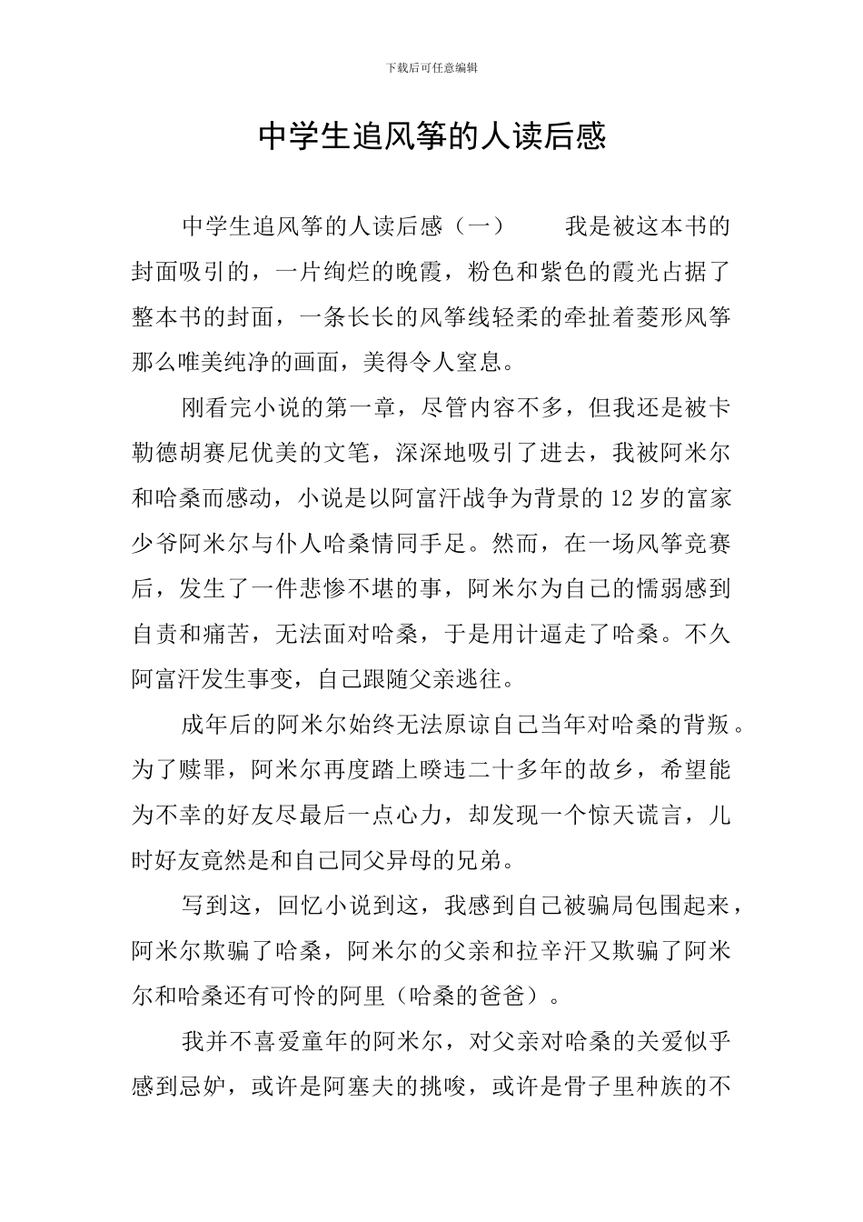 中学生追风筝的人读后感_第1页