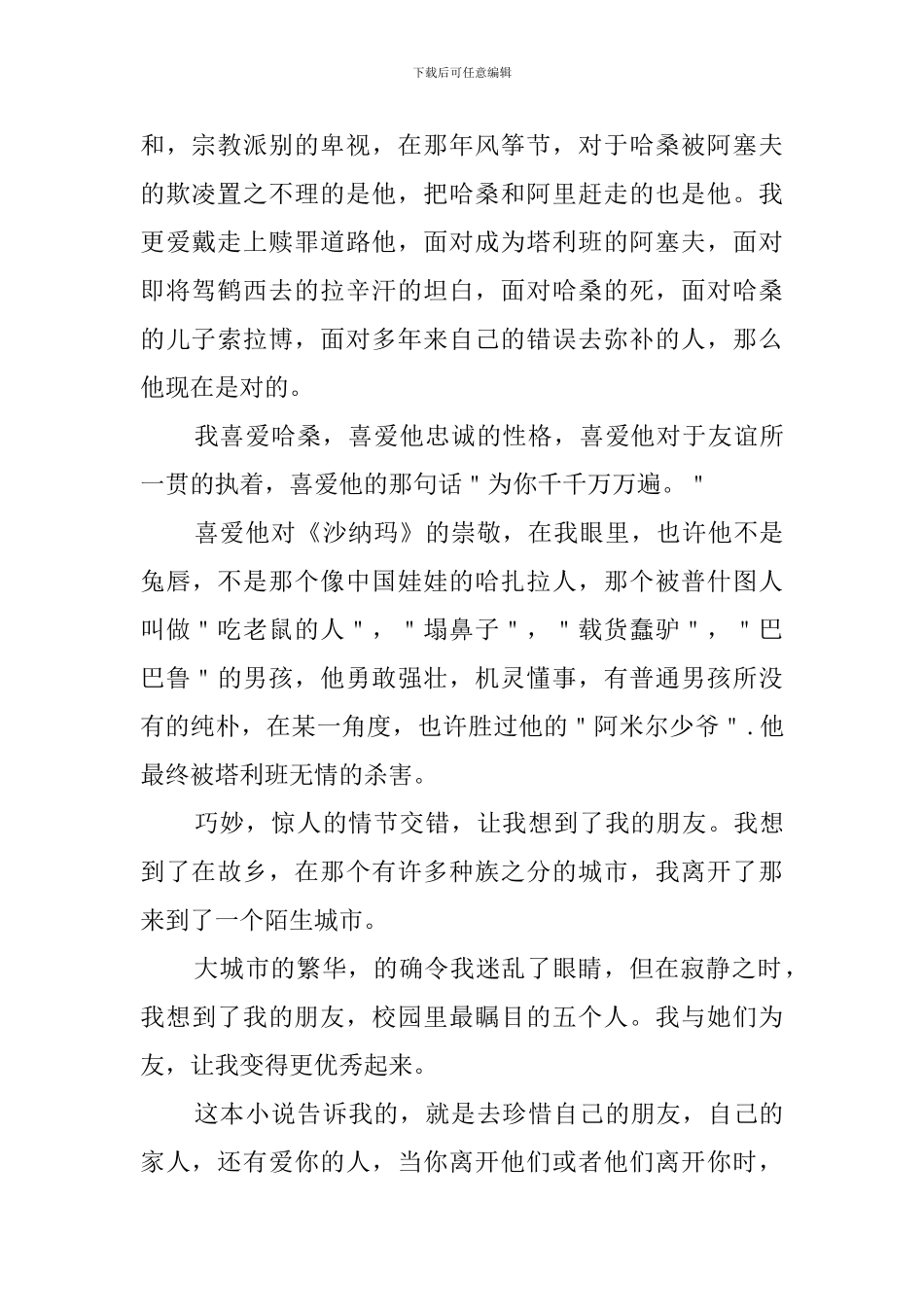 中学生追风筝的人读后感_第2页