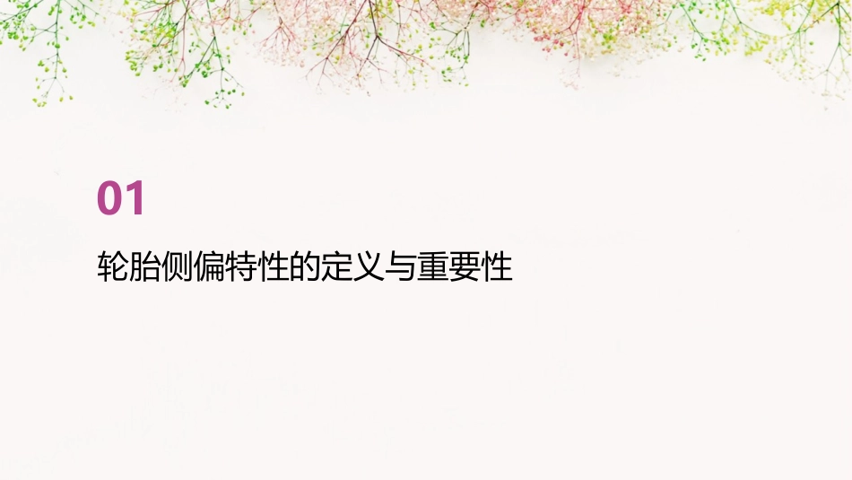 轮胎的侧偏特性课件_第3页