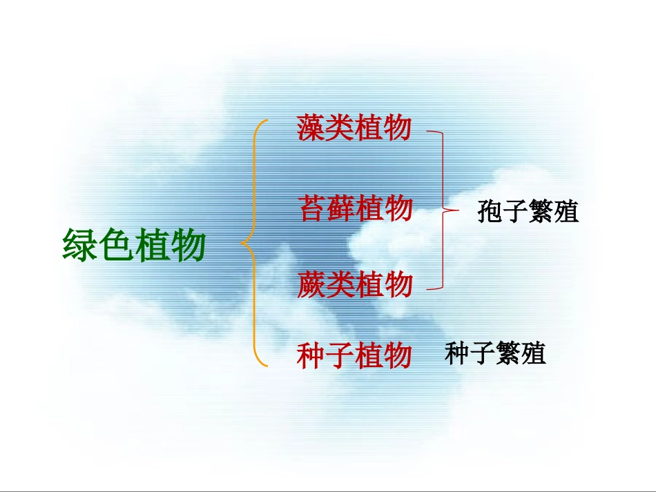 种子植物[1] (2)_第1页