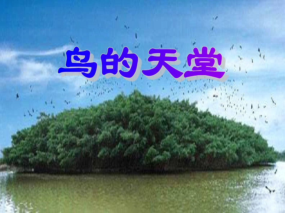 3《鸟的天堂》PPT课件 (3)_第1页