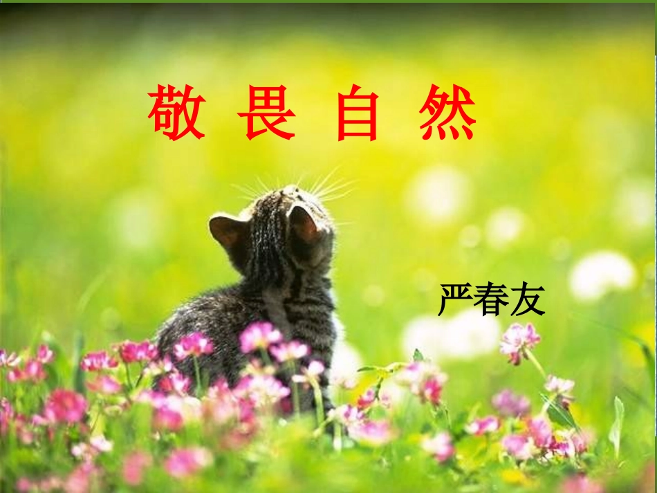 敬畏自然00_第2页