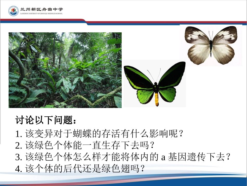 种群基因频率的改变与生物进化_第3页