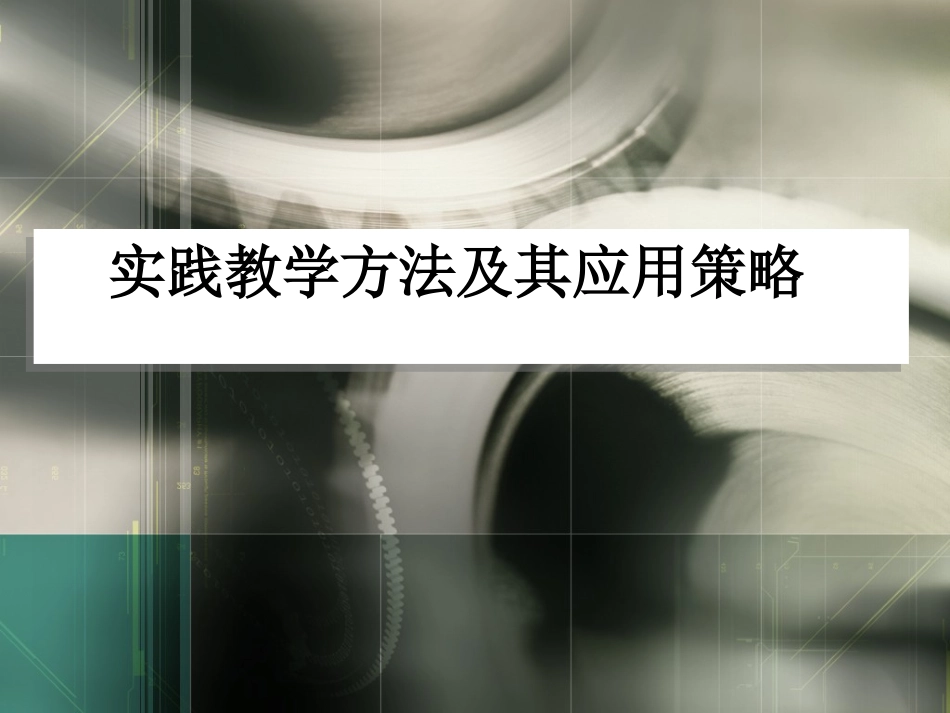 实践教学方法_第1页