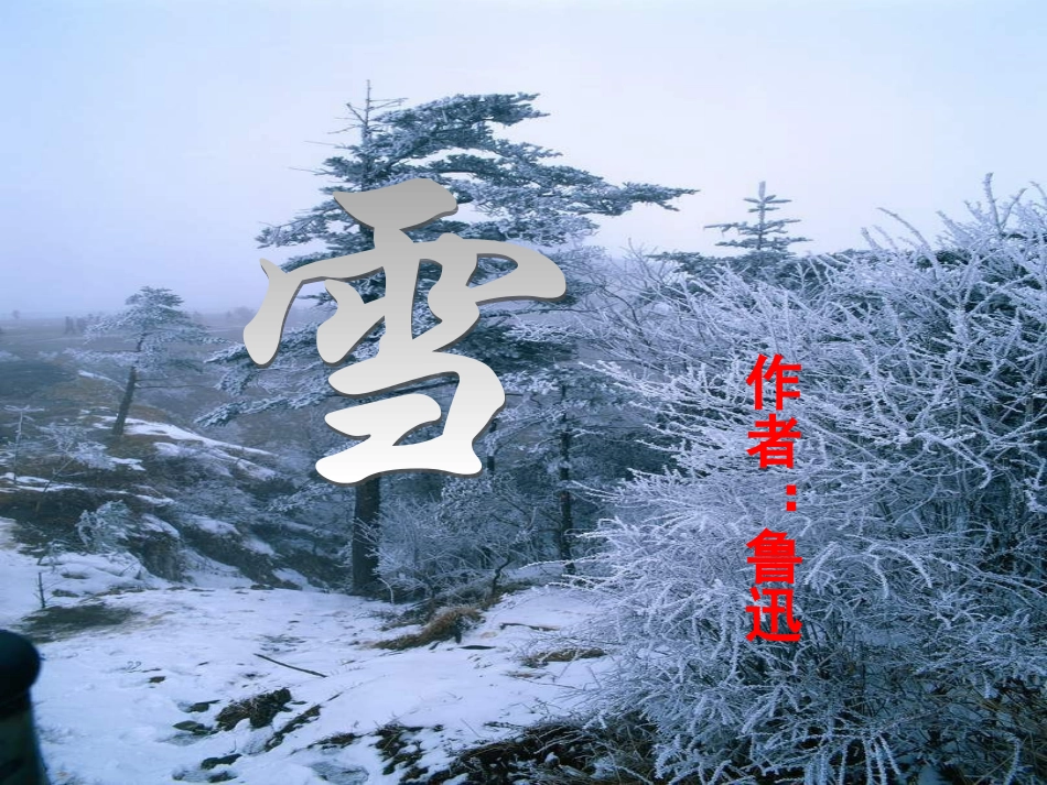 鲁迅《雪》课件_第2页