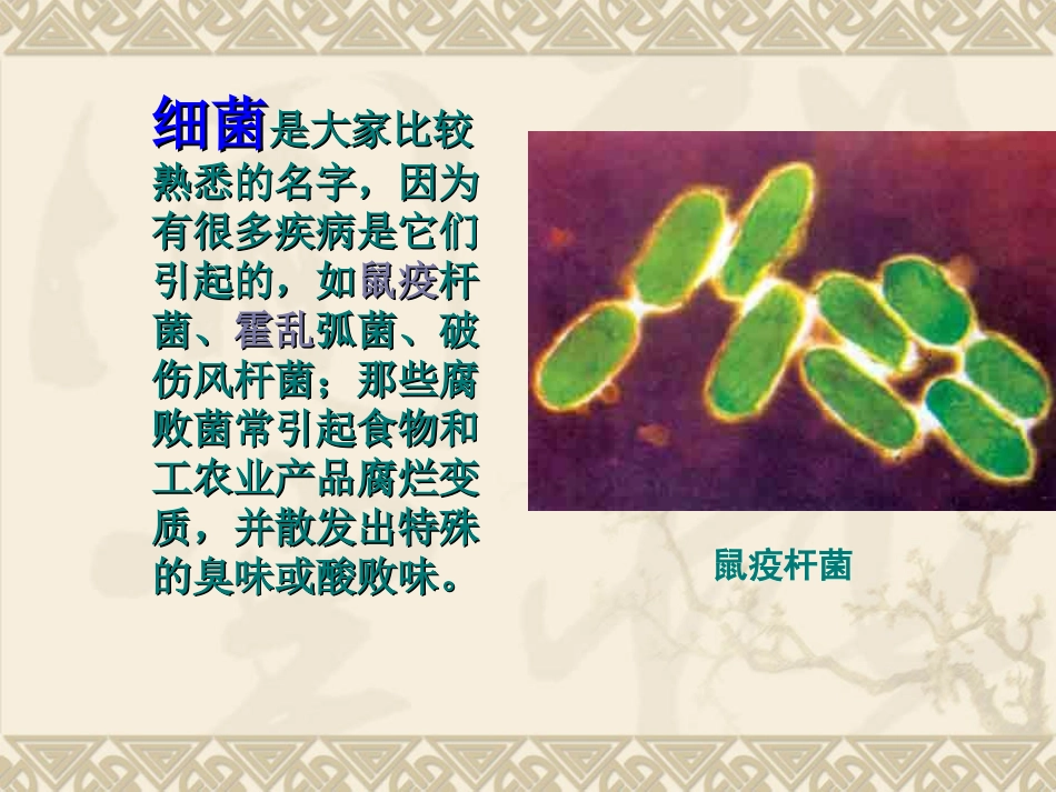 第二节_细菌_第2页