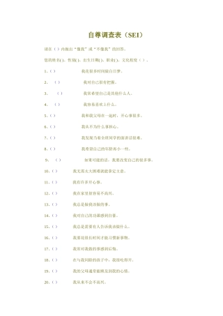 自尊调查表（SEI）
