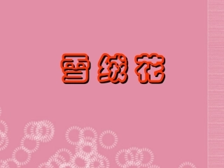 音乐_雪绒花课件 (2)
