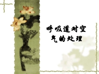 呼吸道的作用