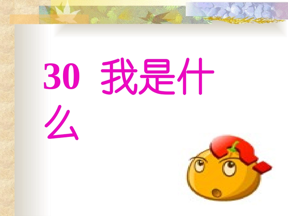 30我是什么 (3)_第1页