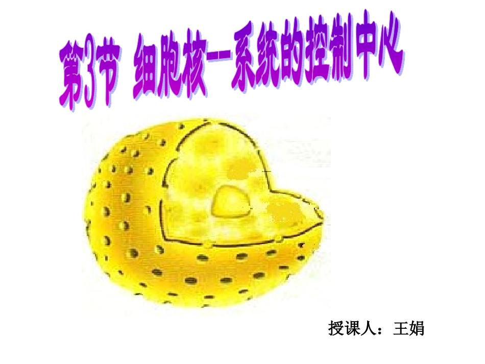 细胞核的课件_第1页