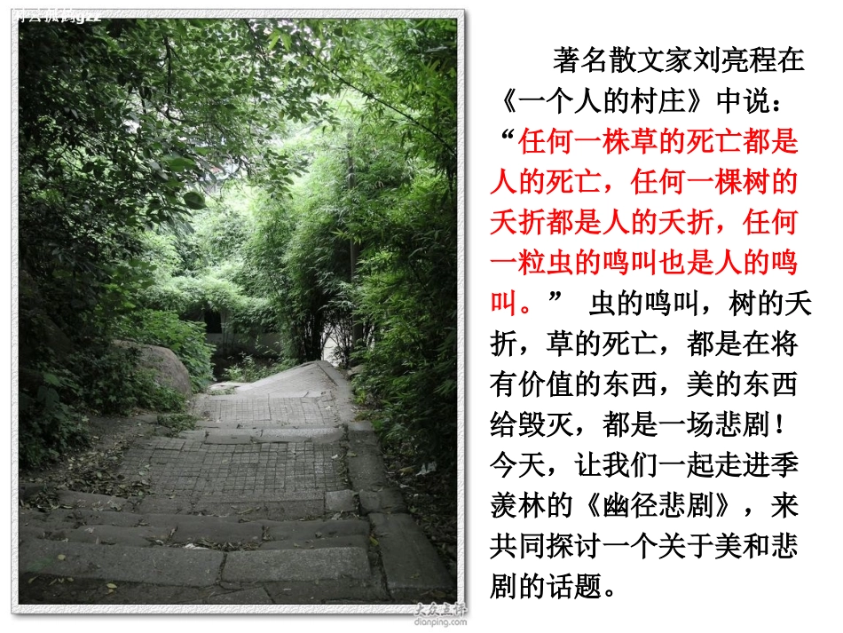 《幽径悲剧》PPT_第1页