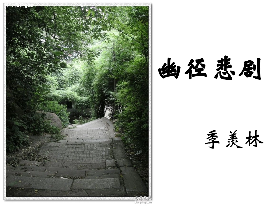 《幽径悲剧》PPT_第2页
