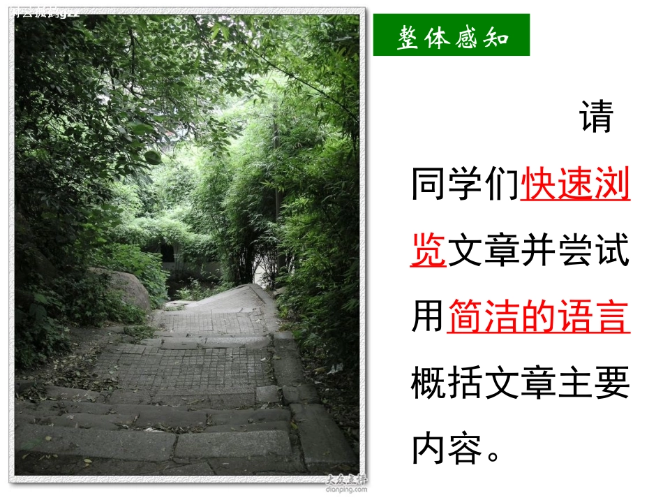 《幽径悲剧》PPT_第3页